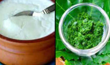 Neem and Curd.